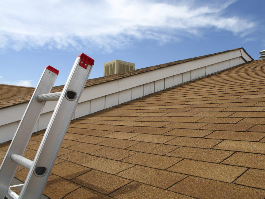 Roofing professionals in dallas/fort worth tx